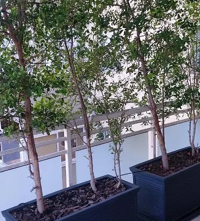 Garden Appartement Bari